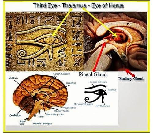 third-eye-pineal-gland