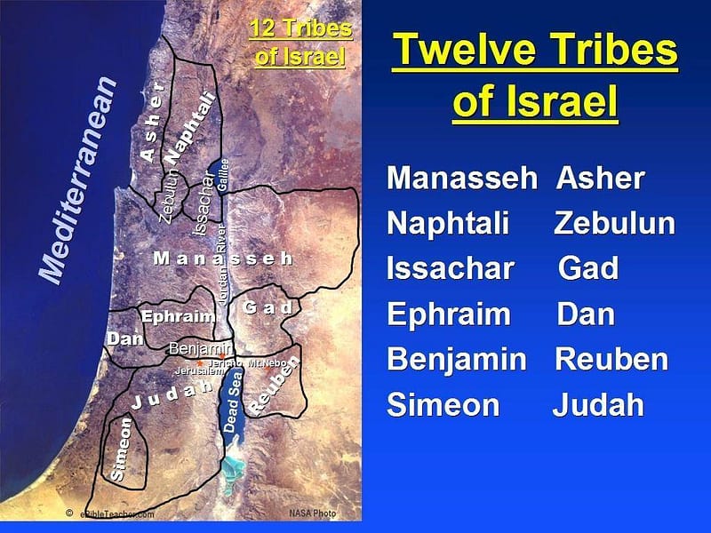 triburi israel